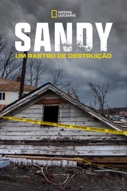 Sandy: Um Rastro de Destruição