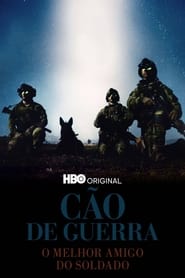 Cão de Guerra: O Melhor Amigo do Soldado