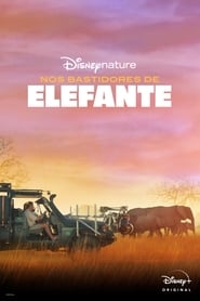 Nos Bastidores de Elefante