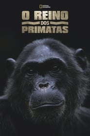 O Reino dos Primatas