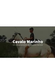 Cavalo Marinho