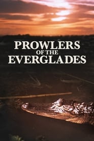 Os Predadores de Everglades