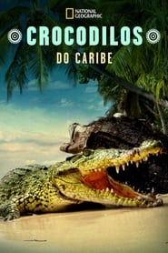 Crocodilos do Caribe
