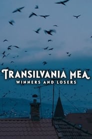 Transilvania Mea – Von Gewinnern und Verlierern