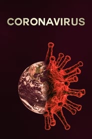 O Novo Coronavírus