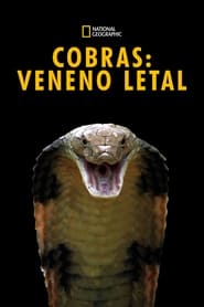 Cobras: Veneno Letal
