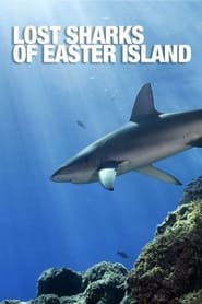 Os Tubarões da Ilha de Páscoa