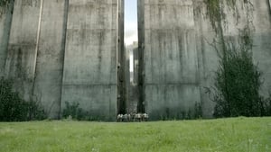 Maze Runner: Correr ou Morrer