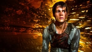 Maze Runner: Correr ou Morrer