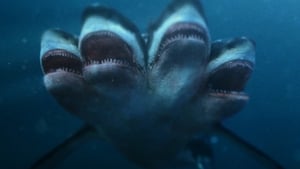 O Ataque do Tubarão de 5 Cabeças