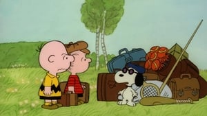 Boa Viagem, Charlie Brown