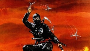 A Vingança do Ninja