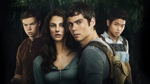 Maze Runner: Correr ou Morrer