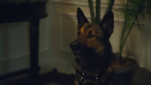 Max 2: Um Agente Animal