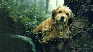 Benji – Um Cão Desafia a Selva