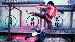 Os Combatentes de Shaolin