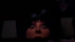As Loucas Aventuras de Elvira