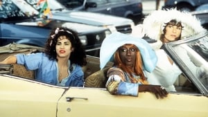 Para Wong Foo, Obrigado por Tudo! Julie Newmar