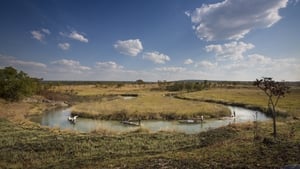 Expedição ao Delta do Okavango