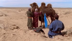 Camelos Também Choram