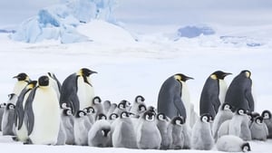 A Marcha dos Pinguins 2