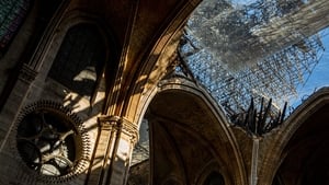 Reconstrução da Catedral de Notre Dame