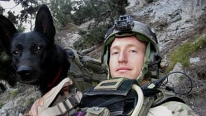 Cão de Guerra: O Melhor Amigo do Soldado