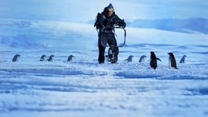 Pinguins: Vida ao Extremo