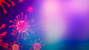 Evolução do Vírus: Do Ebola ao Covid-19