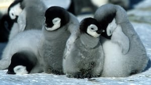 A Marcha dos Pinguins