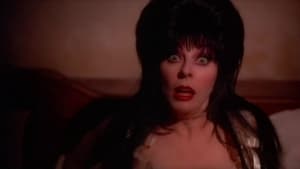 As Loucas Aventuras de Elvira