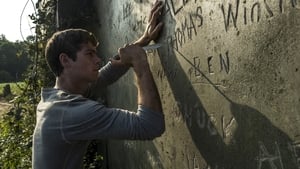 Maze Runner: Correr ou Morrer