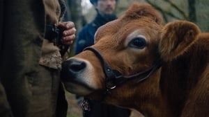 First Cow – A Primeira Vaca da América