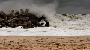Sandy: Um Rastro de Destruição