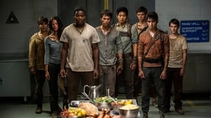 Maze Runner: Prova de Fogo