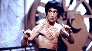 Eu Sou Bruce Lee