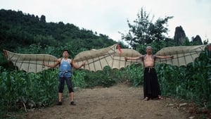 The Bird people in China