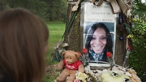 Diga o Nome Dela: A Vida e a Morte de Sandra Bland