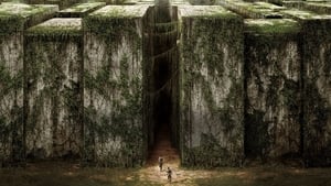 Maze Runner: Correr ou Morrer