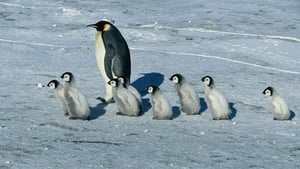 A Marcha dos Pinguins